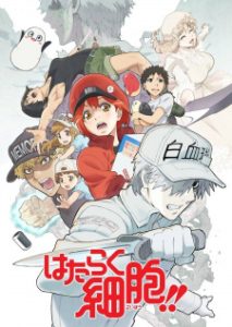 Hataraku Saibou!! 2nd Season Hataraku Saibou!! 2nd Season