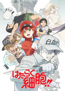 Hataraku Saibou!! 2nd Season Hataraku Saibou!! 2nd Season