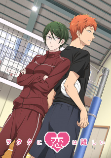 Wotaku ni Koi wa Muzukashii OVA Wotaku ni Koi wa Muzukashii OVA