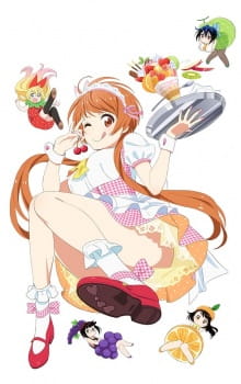 Nisekoi OVA Nisekoi OVA